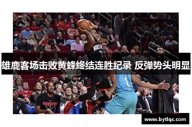 雄鹿客场击败黄蜂终结连胜纪录 反弹势头明显