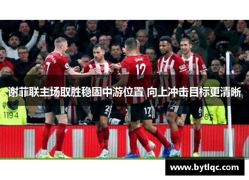 谢菲联主场取胜稳固中游位置 向上冲击目标更清晰