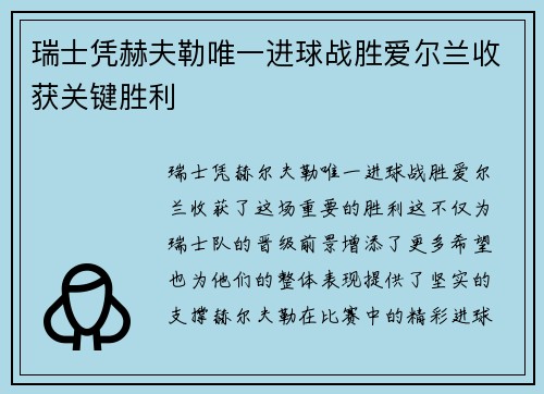 瑞士凭赫夫勒唯一进球战胜爱尔兰收获关键胜利
