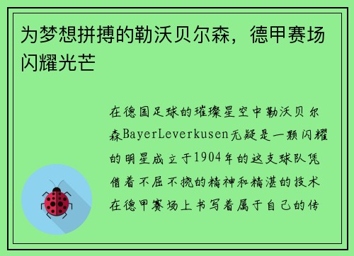 为梦想拼搏的勒沃贝尔森，德甲赛场闪耀光芒