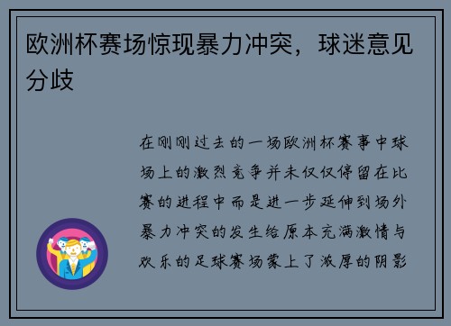 欧洲杯赛场惊现暴力冲突,球迷意见分歧