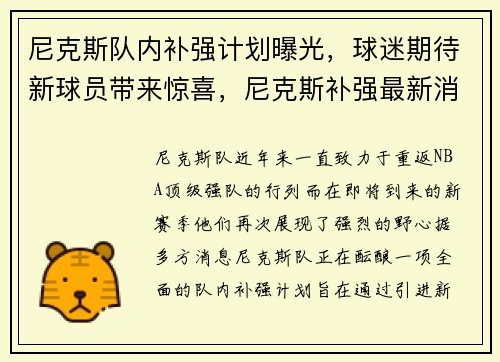 尼克斯队内补强计划曝光,球迷期待新球员带来惊喜,尼克斯补强最新消息