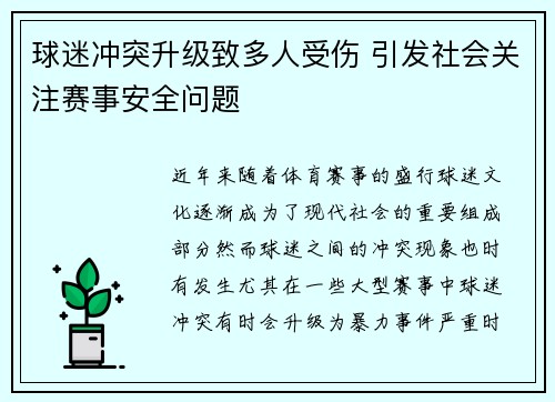 球迷冲突升级致多人受伤 引发社会关注赛事安全问题