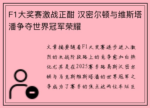 F1大奖赛激战正酣 汉密尔顿与维斯塔潘争夺世界冠军荣耀